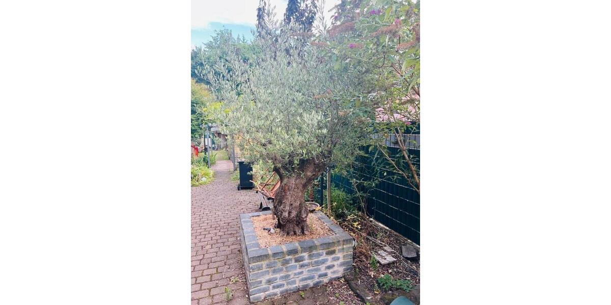 Doppelhaushälfte Duisburg Rheinhausen - 4 Zimmer, 100 m&sup2;, 335.000&euro; | Angebot:26109623