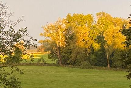 Wohnung Wesel Bislich - 3 Zimmer, 85 m&sup2;, 900&euro; | Angebot:25967643