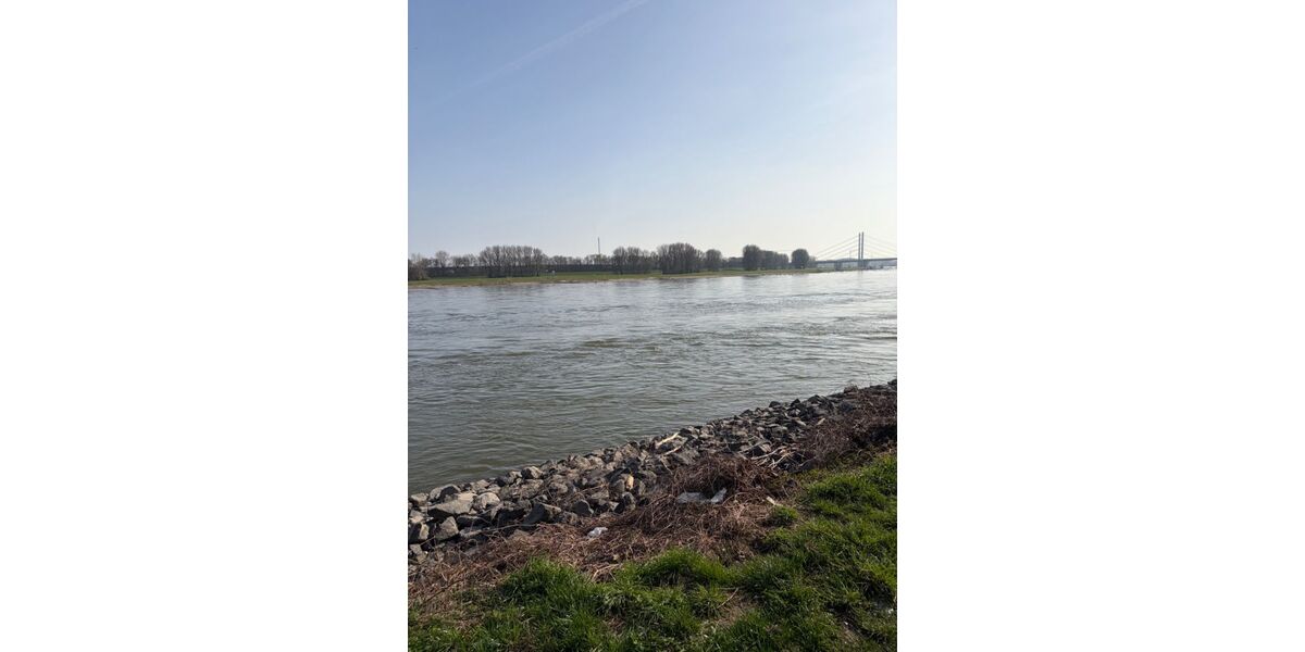 Provisionsfrei* Eckhaus EFH Endhaus mit PV 10,4 KW+Garage 140m zum Rheinufer Energiebedarf 22,4 kWhm2a - Reihenendhaus Duisburg Essenberg | Angebot:26163676