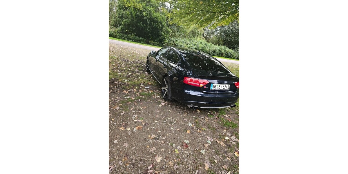 Audi S5 176.000 km 13.555 &euro; Gelsenkirchen 45879