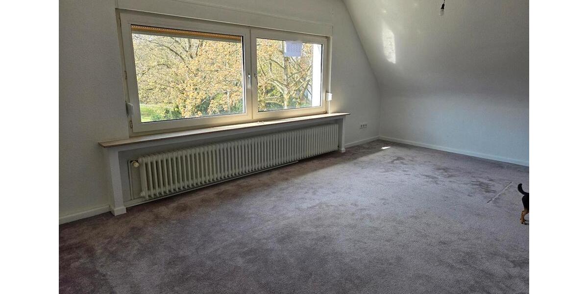 Dachgeschoßwohnung Gelsenkirchen Buer - 1 Zimmer, 44 m&sup2;, 400&euro; | Angebot:25936388