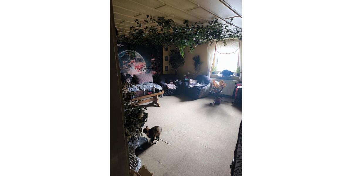 Dachgeschoßwohnung Gelsenkirchen Resse - 2.5 Zimmer, 65 m&sup2;, 500&euro; | Angebot:26594630