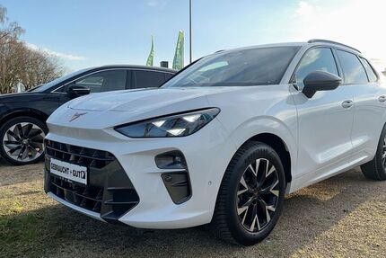 Cupra Terramar 28.120 km 31.890 &euro; Hünxe 46569