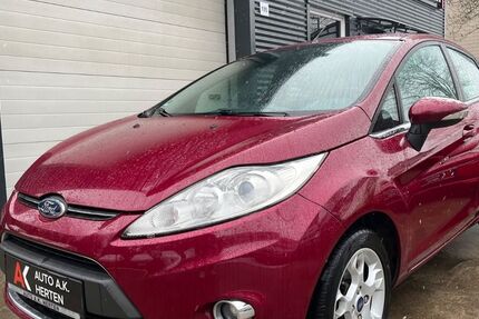 Ford Fiesta 129.900 km 5.390 &euro; Herten 45699
