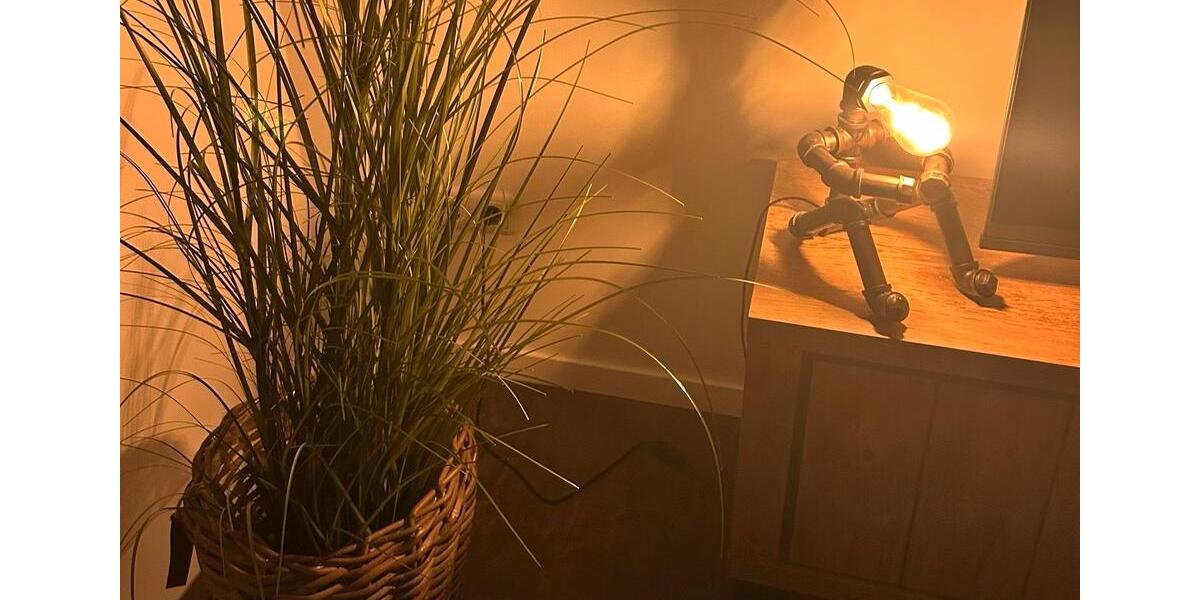 Etagenwohnung Marl - 3 Zimmer, 75 m&sup2;, 1.150&euro; | Angebot:25353883