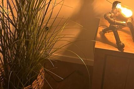 Wohnung Marl - 3 Zimmer, 75 m&sup2;, 1.150&euro; | Angebot:25353883