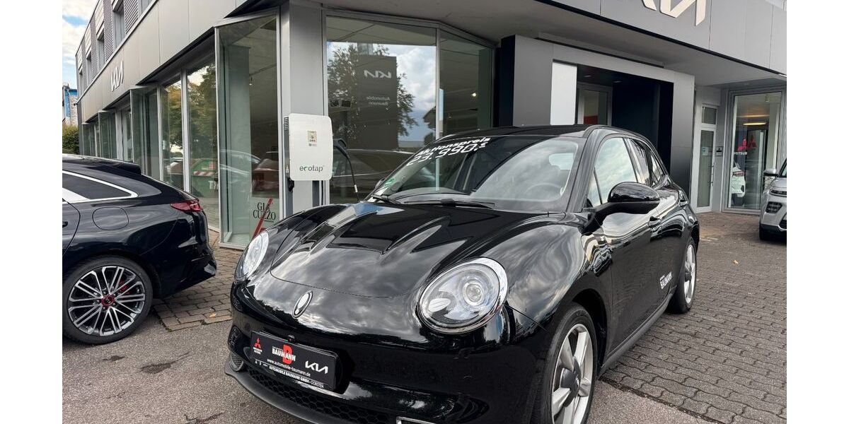 ORA Funky Cat 4.890 km 23.990 &euro; Dorsten 46282