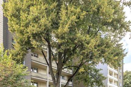 Wohnung Essen Steele - 3 Zimmer, 70 m&sup2;, 533&euro; | Angebot:26095272