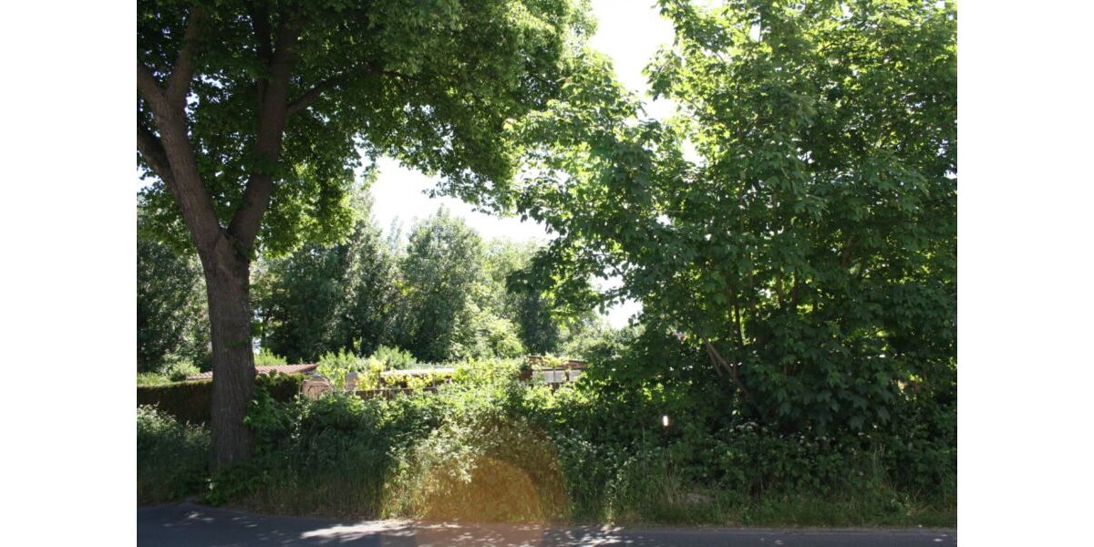 Provisionsfrei* Eckhaus EFH Endhaus mit PV 10,4 KW+Garage 140m zum Rheinufer Energiebedarf 22,4 kWhm2a - Reihenendhaus Duisburg Essenberg | Angebot:26163676