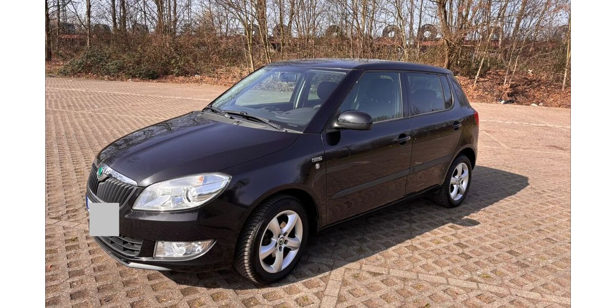 Skoda Fabia 154.500 km 4.100 &euro; Duisburg 47229