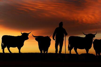 Gewerbeobjekt Dorsten Altstadt - 3.000&euro; | Angebot:25286398