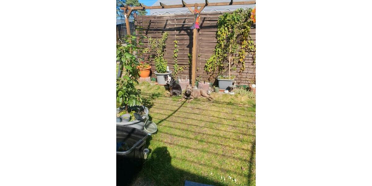 Einfamilienhaus Mülheim an der Ruhr Linksruhr - 2 Zimmer, 25 m&sup2;, 19.999&euro; | Angebot:26130687