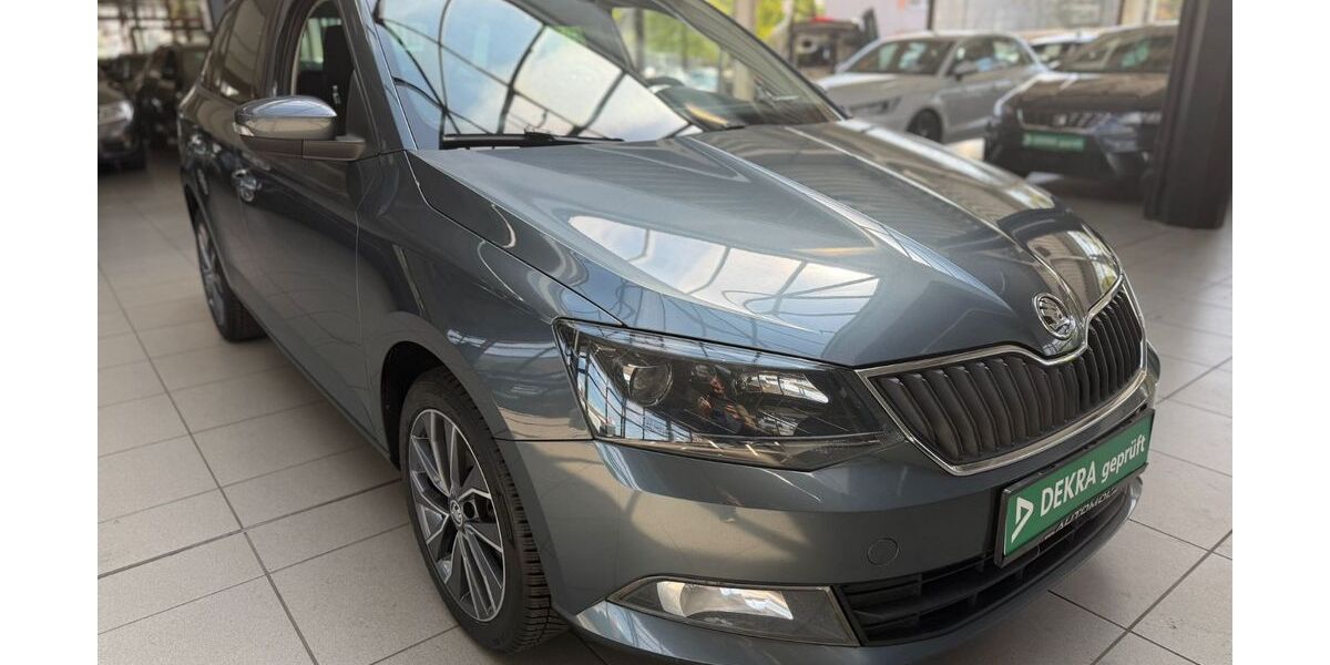 Skoda Fabia 248.000 km 5.790 &euro; Bottrop 46238