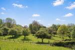 Einfamilienhaus Duisburg / Friemersh. Friemersheim - 4 Zimmer, 231 m&sup2;, 695.000&euro; | Angebot:26596228