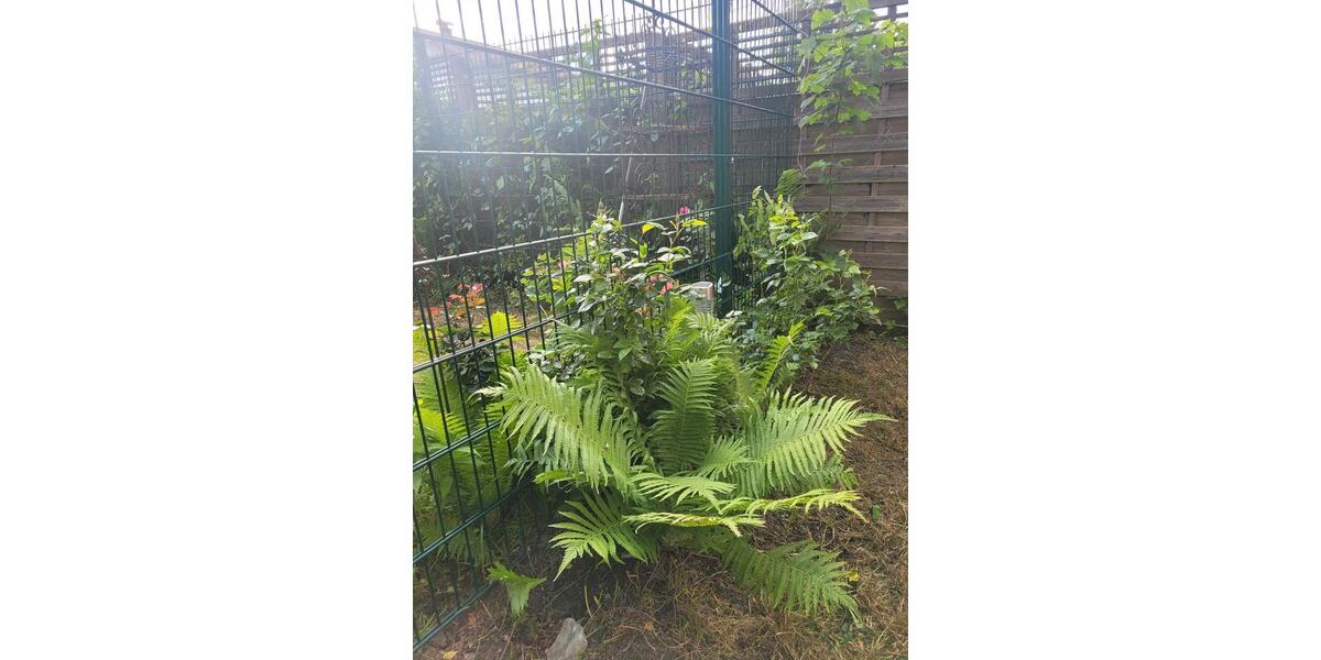 Erdgeschoßwohnung Bochum Werne - 2 Zimmer, 57 m&sup2;, 150.000&euro; | Angebot:26222344