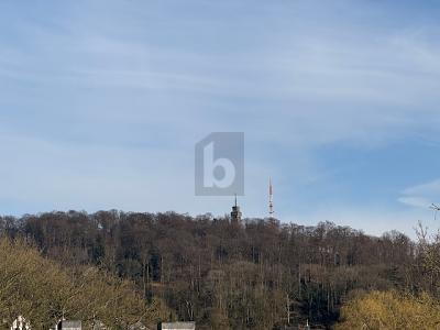 PERFEKTE WOHNLAGE UND UNVERBAUBARE FERNSICHT - Grundstück Velbert Langenberg | Angebot:26706972