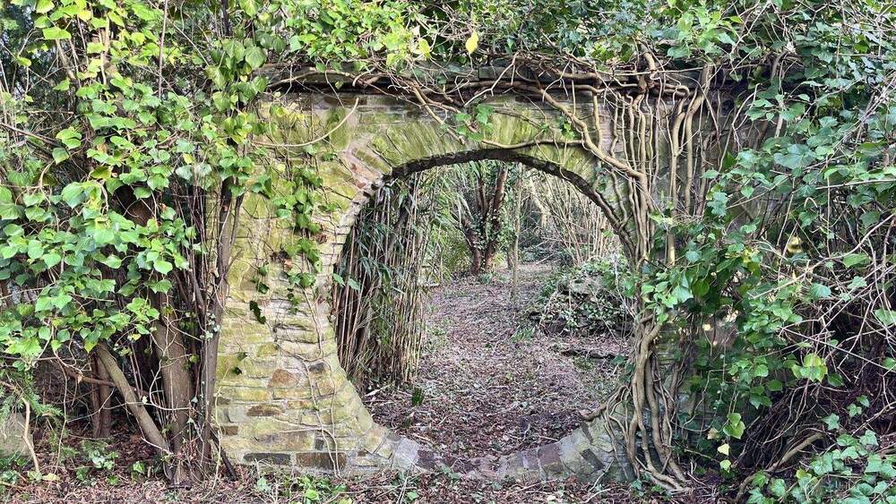 Grundstück Hattingen Blankenstein - 65.000&euro; | Angebot:25779558