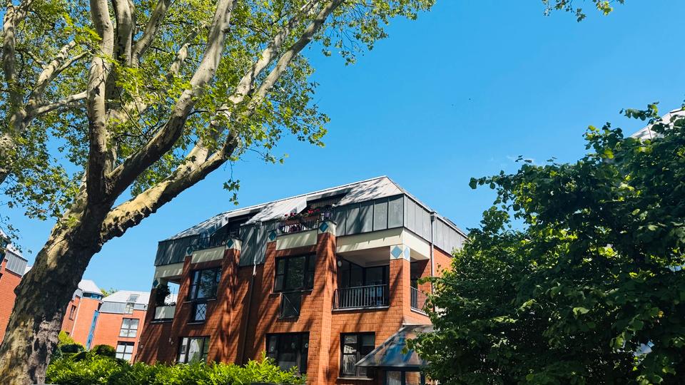 Etagenwohnung Duisburg Duisburg-Mitte - 1 Zimmer, 32 m&sup2;, 335&euro; | Angebot:26693826