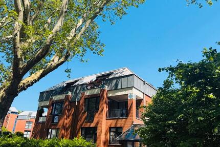 Wohnung Duisburg Duisburg-Mitte - 1 Zimmer, 32 m&sup2;, 335&euro; | Angebot:26693826