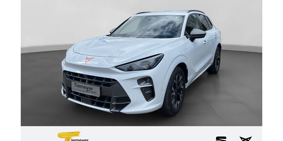 Cupra Terramar 22.755 km 37.880 &euro; Recklinghausen 45663