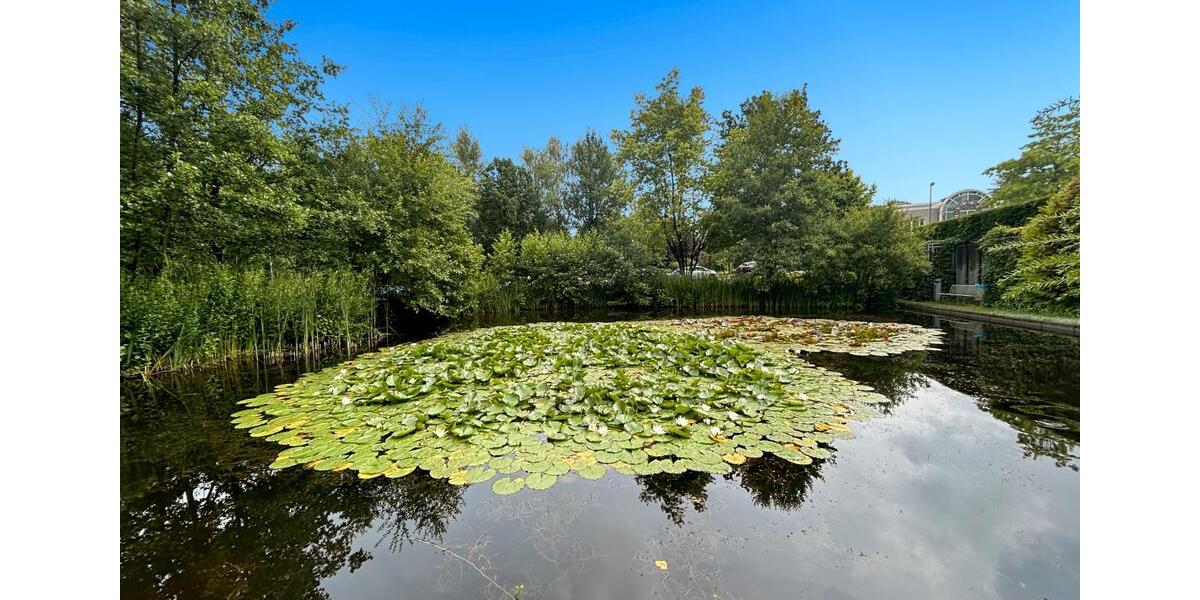 Gewerbeobjekt Essen Stadtbezirk II - 169&euro; | Angebot:22935388