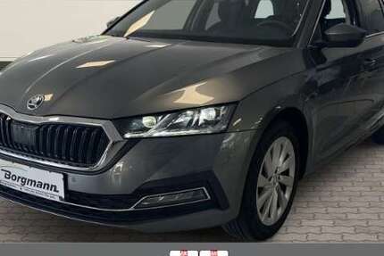 Skoda Octavia 9.600 km 31.990 &euro; Dorsten 46282
