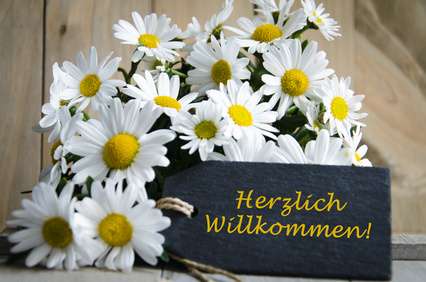 Wohnung Datteln - 1 Zimmer, 42 m&sup2;, 357&euro; | Angebot:26257925