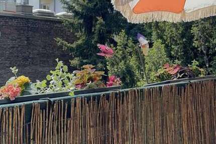 Wohnung Bochum Wiemelhausen - 3.5 Zimmer, 73 m&sup2;, 850&euro; | Angebot:27279902