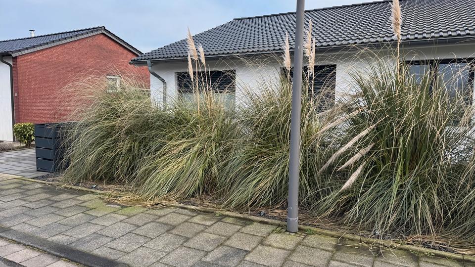 Bungalow Marl Alt-Marl - 6 Zimmer, 238 m&sup2;, 630.000&euro; | Angebot:25349878