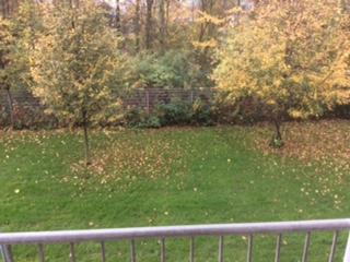 Etagenwohnung Duisburg Huckingen - 2 Zimmer, 53 m&sup2;, 266&euro; | Angebot:25552172