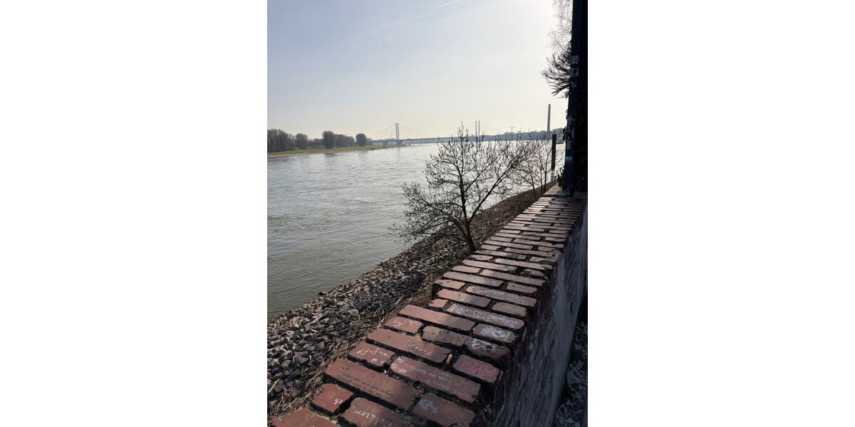 Provisionsfrei* Eckhaus EFH Endhaus mit PV 10,4 KW+Garage 140m zum Rheinufer Energiebedarf 22,4 kWhm2a - Reihenendhaus Duisburg Essenberg | Angebot:26163676