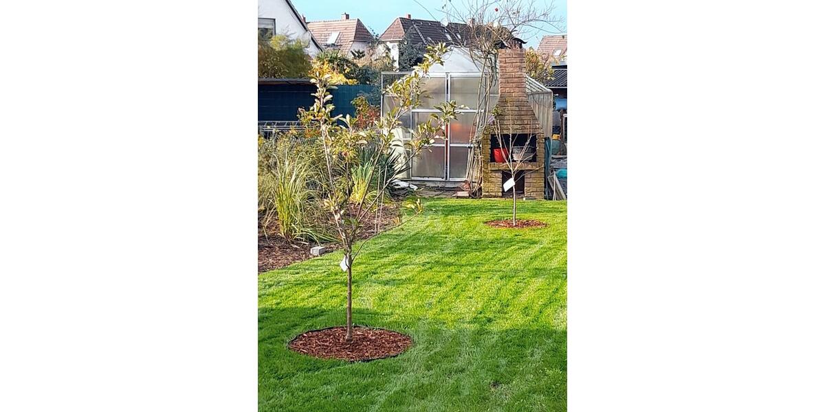 Doppelhaushälfte Datteln - 359.000&euro; | Angebot:25403240