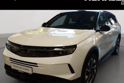 Opel Grandland (X) 14.990 km 32.990 &euro; Duisburg 47059