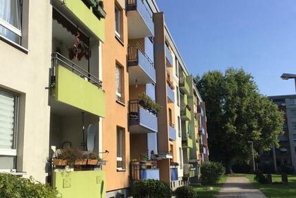 Wohnung Essen Stadtbezirk VII - 3 Zimmer, 73 m&sup2;, 585&euro; | Angebot:24759761