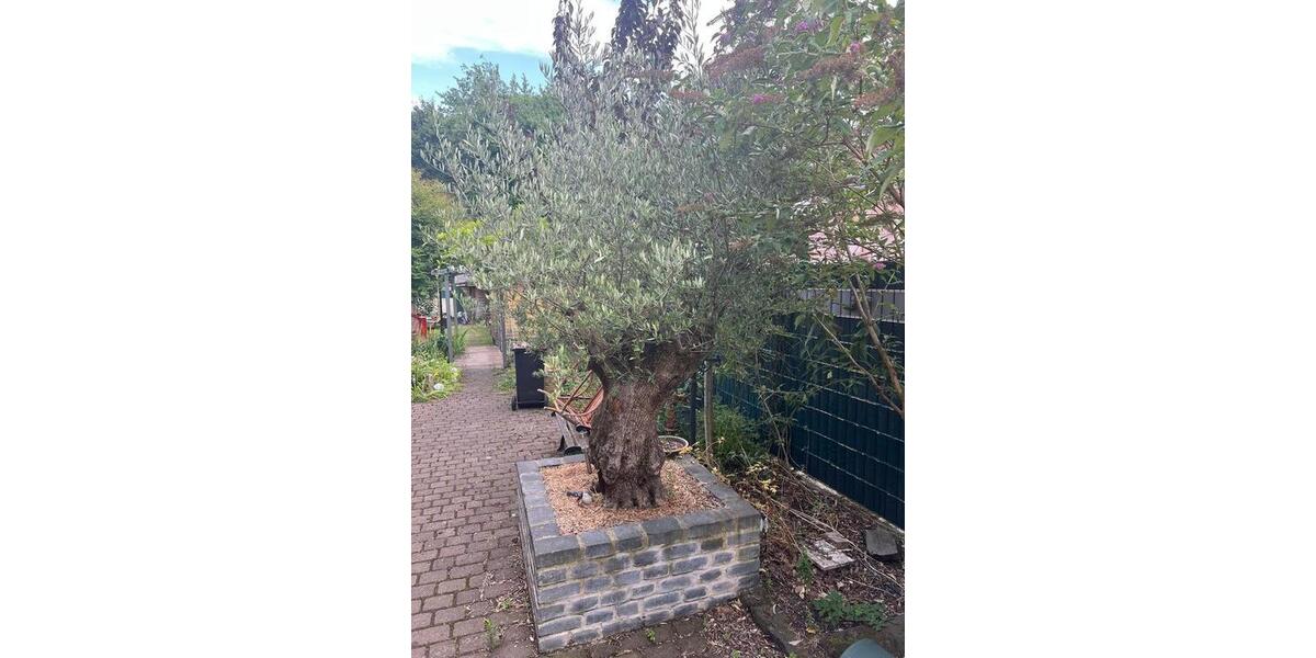 Doppelhaushälfte Duisburg Rheinhausen - 335.000&euro; | Angebot:26087906