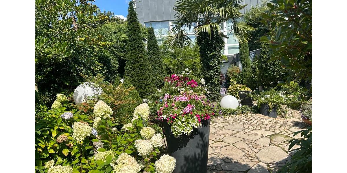 Dachgeschoßwohnung Bochum Bochum-Südwest - 3.5 Zimmer, 80 m&sup2;, 585&euro; | Angebot:25083103