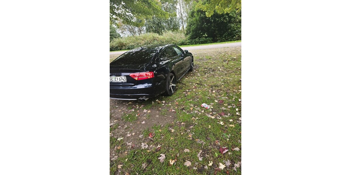 Audi S5 176.000 km 13.555 &euro; Gelsenkirchen 45879