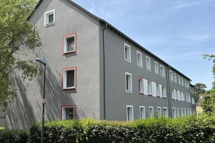 Wohnung Essen Stadtbezirk IV - 3.5 Zimmer, 58 m&sup2;, 504&euro; | Angebot:26702988