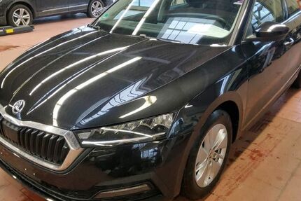 Skoda Octavia 142.319 km 17.580 &euro; Heiligenhaus 42579