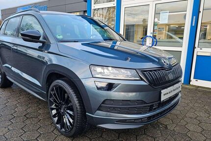 Skoda Karoq 118.200 km 21.600 &euro; Raesfeld-Erle 46348