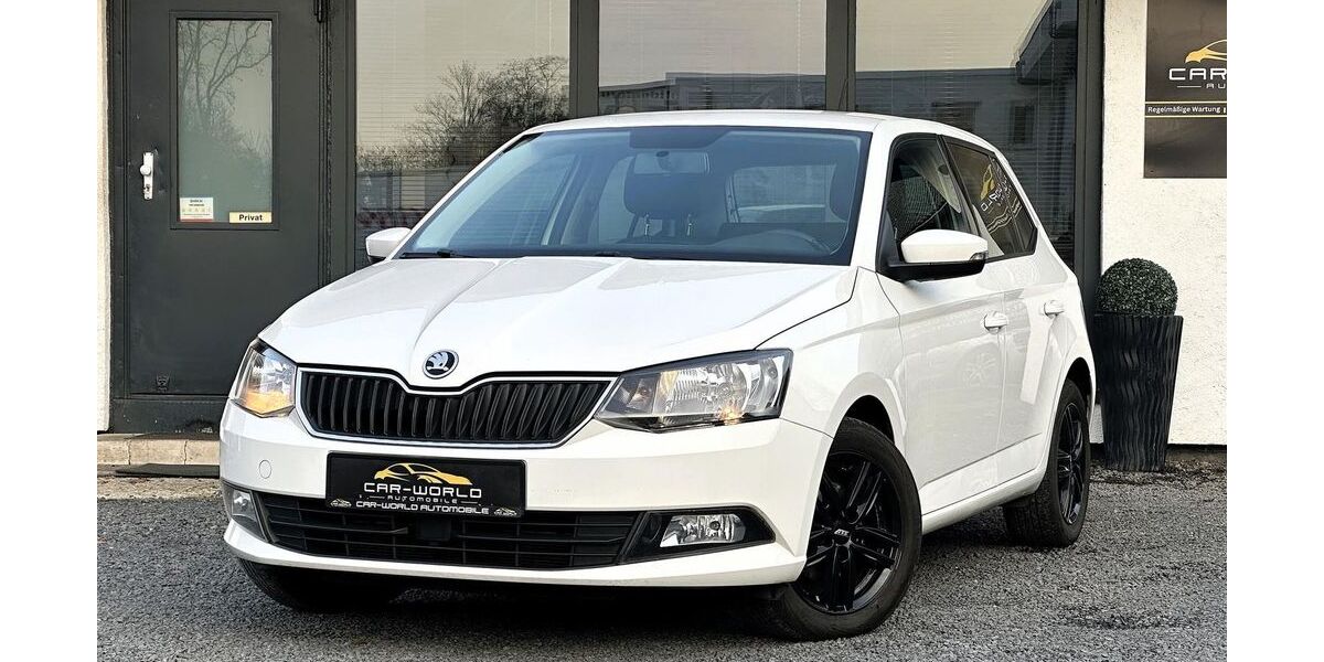 Skoda Fabia 135.748 km 7.499 &euro; Duisburg 47167