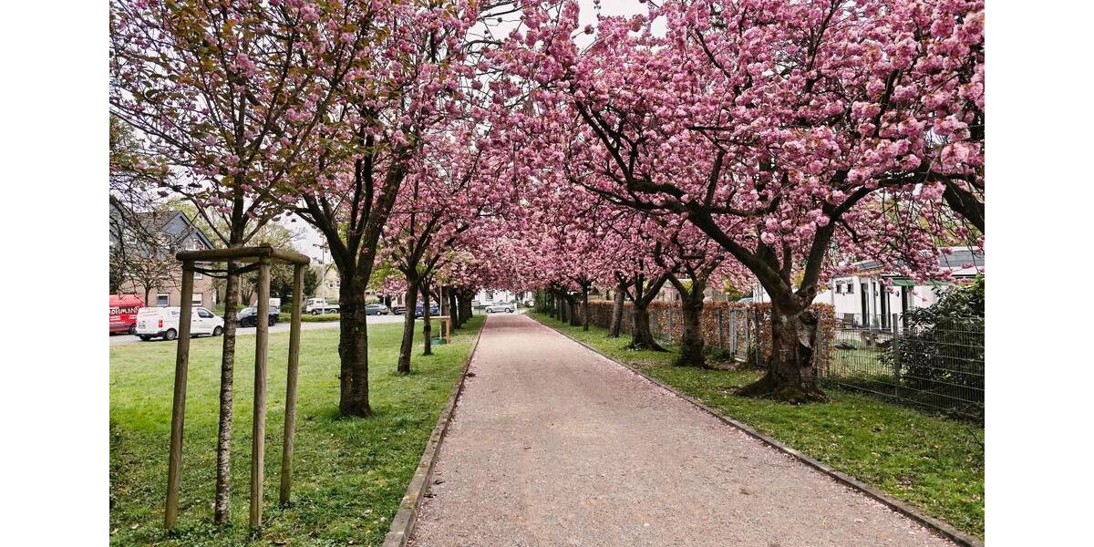 Maisonettenwohnung Dinslaken Lohberg - 4 Zimmer, 106 m&sup2;, 289.000&euro; | Angebot:26226739