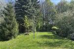 Mehrfamilienhaus, Wohnhaus Gelsenkirchen Buer - 1 Zimmer, 299.000&euro; | Angebot:26687127