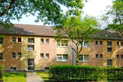 Wohnung Recklinghausen Hochlarmark - 3 Zimmer, 52 m&sup2;, 275&euro; | Angebot:27098361