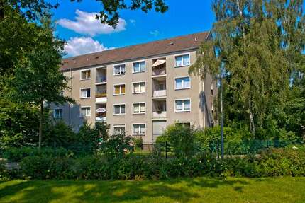 Wohnung Gladbeck Brauck - 3.5 Zimmer, 65 m&sup2;, 409&euro; | Angebot:27086367